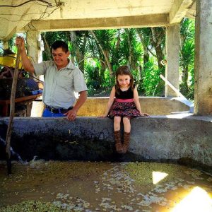 Honduras Coffee Beans being prepped as a girl sits on the edge